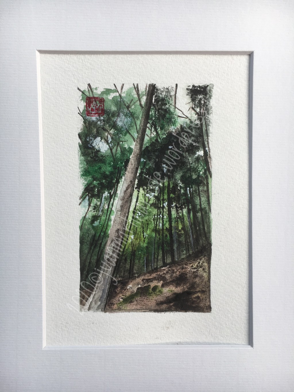 Aquarelles en pigments minéraux purs