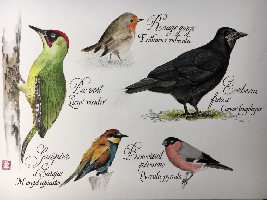 Article printanier dans la revue Pratique des&nbsp;Arts