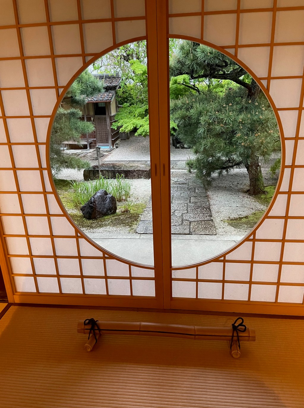 Rétrospective  2024